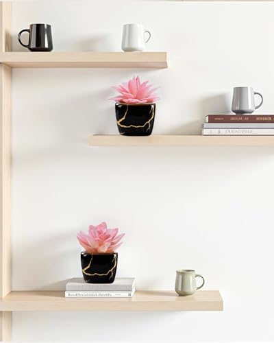 Taybonds Artificial Succulent in 2PCS Black Ceramic Pot, Small Fake Succulents Plants for Office and Desk Decor,Bathroom, Bedroom, Shelves, Vanity for Women - color: Black