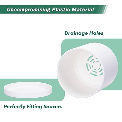 D'vine Dev 2 Pack 5.5 Inch Modern Plastic Plant Pots, Small Garden Planters for Plant with Drainage Holes and Saucers, White Color, 74-Z-H-1 - size: 5.5"