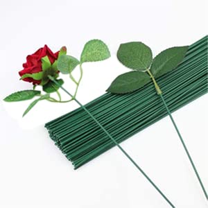 2 Gauge Dark Green 50 PCS Floral Stem Wire Flower Arrangements and DIY Crafts Diameter 2mm Floral Wire for Florist Flower Arrangement Bouquet Stem Wreath Making 12 Inch/30cm - color: 50 pcs 2Gauge Dark green flower wire 30cm