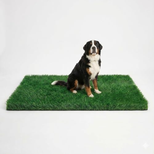 Turf Grass 70"x40" for Dogs with Drainage Holes - Easy to Clean Washable Pad for Potty Training, Artificial Turf for Dogs Puppies, Realistic Fake Grass Pad for Pet, Dog Potty for Pee Indoor Outdoor - size: 70" x 40", style: With Drainage Holes