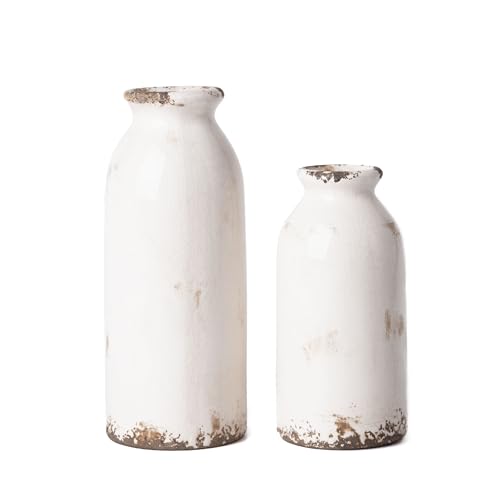 VICTOR & TERESA White Ceramic Vases Home Decor, Farmhouse Vase for Flowers, Flower Vase Set of 2, Rustic Decorative Vases for Pampas Grass, Table, Living Room, Shelf, Centerpieces, 8 inch - color: White