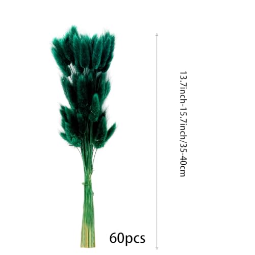 60pcs Dried Bunny Tails Flowers Blue Pampas Grass Natural Dried Floral Arrangement Dry Flowers for Christmas Halloween Boho Decor Home Wedding DIY Craft Decoration (16") - color: Blue