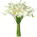 20 Stems Real Touch Calla Lily Artificial Flowers, 14.2in Tall with 2.4in PU Blooms, White Faux Calla Lilies with Bendable Plastic Stems for Wedding Bouquets, Centerpieces and Home Decor
