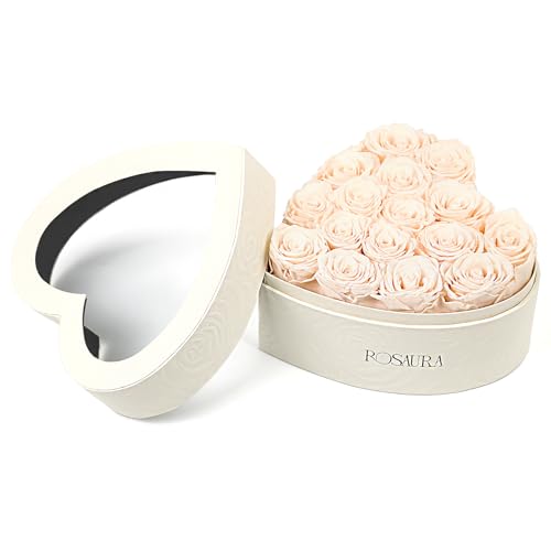 Rosaura Heart-Shaped Preserved Roses Gift Box - Real Forever Flowers for Christmas, Birthday, Valentine's & Mother's Day (Champagne, 16 roses) - color: Champagne, size: 16 roses