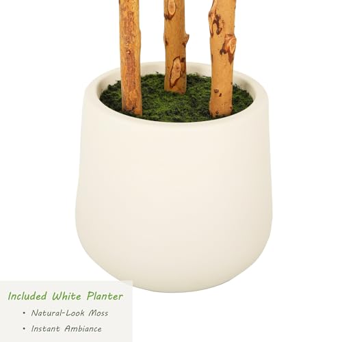Nafresh Multi-Real Wood Trunks Ficus Tree Artificial with White Planter, 5ft(60in) Realistic Texture Potted Faux Ficus Tree, Fake Trees Indoor for Home Office Living Room Bedroom Porch Decor - size: 5ft 1in