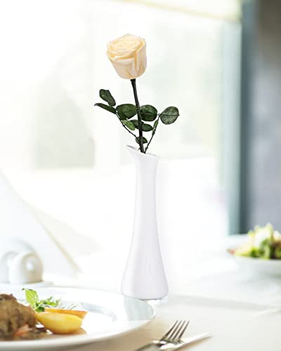 Champagne Flowers for Delivery Prime, Preserved Champagne Roses Flower Gifts for Women, Real Roses Single Rose Gifts for Her, Mom Birthday Gifts from Daughter, Valentines Flowers - color: 03-champagne