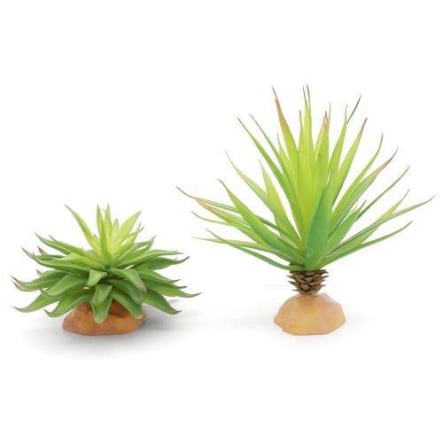 JIHAQUA Reptile Terrarium Decor 2-Piece Realistic Succulent Set,Lifelike Plastic Plants for Geckos, Bearded Dragons,Snakes,Turtles,Lizards,Insects Reptile Habitats - color: Green