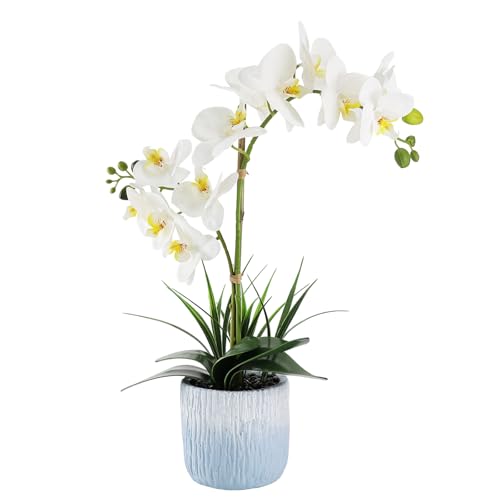 Orchid Artificial Flowers 20.6" White Fake Orchid Flowers in White Ceramic Pot Faun Orchid Plant for Home Decor Office Bathroom Table Centerpiece Indoor(White#1) - color: White-light Blue