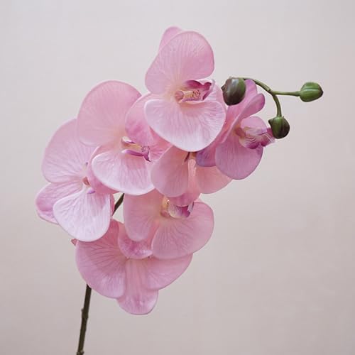 IPOPU 34.3" Pink Orchid Artificial Flowers, Real Touch Fake Orchid Latex Pink Flowers Phalaenopsis Branches for Home Party Wedding Bridal Shower Decoration, 2pcs Pink - color: Light Pink