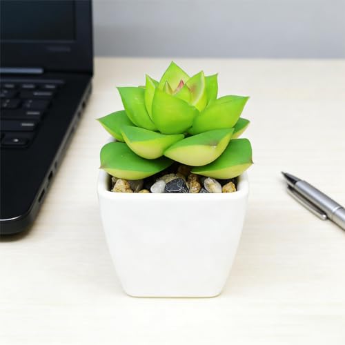 Artificial Succulent Plants in Pot - 1Pcs Small Wakame Realistic Fake Potted Succulents for Home Decor, Desk, Office, Bathroom, Windowsill - Indoor Houseplant for Bedroom, Kitchen, Shelf - color: Small Wakame
