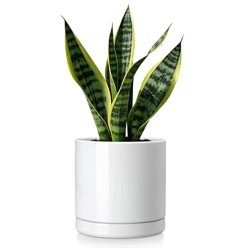 vancasso Ceramic Plant Pots, 6.25 Inch Ceramic Pot for Plants, Planters Pots for Indoor Plants with Drainage Holes, Flower Pot for Indoor House Plant, White - color: White, size: 6.25 Inch