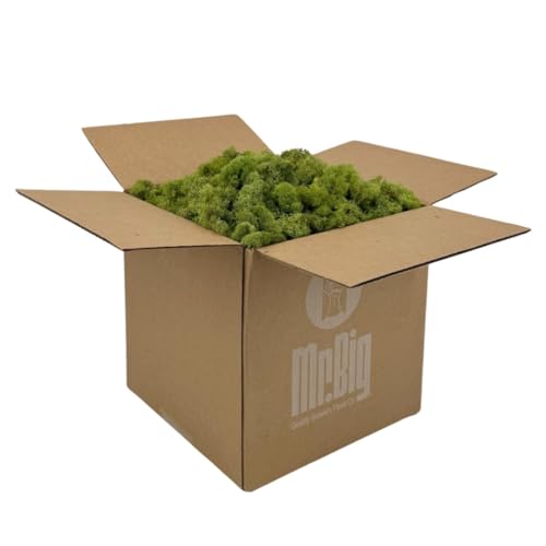 Preserved Reindeer Moss - Moss for Crafts, Home Decor, Art, Design & DIY Projects - Non-Toxic - USA Made (Spring Green, Standard Box) - color: Spring Green, size: Box