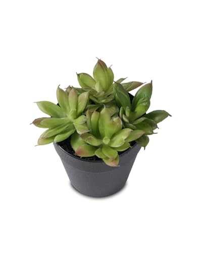 Faux Assorted Succulents - Artificial Succulent Plants for Desk, Bathroom, Shelf, or Home Decor, Realistic Greenery for Farmhouse, Office & Kitchen Decoration PA-019 - size: PA-019