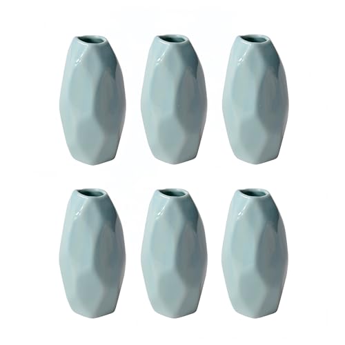 Simple Vase for Flowers Plants, Small Cute Flower Vase for Modern Table Shelf Home Decor Wedding Boho Decor, Farmhouse (6pc-BGZ-Blue) - color: 6pc-bgz-blue