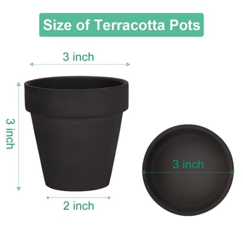 vensovo 3 inch Black Terracotta Clay Pots for Plants with Saucer - 12 Pack Small Terra Cotta Planter Great for Garden Windowsill Indoor & Outdoor Wedding Favors Gifts - color: Black