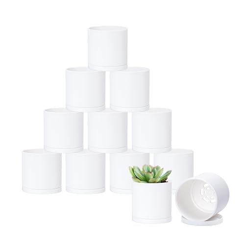 D'vine Dev 12 Pack 3 Inch Mini Plastic Plant Pots, Small Garden Planters for Plant with Drainage Holes and Saucers, White Color, 74-Z-C-4 - size: 3"