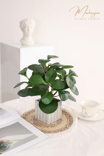 Muhanjia Artificial Potted Plant, Lifelike Faux Greenery in Decorative Cement-Look Square Pot for Indoor Home Decor Centerpieces (Peperomia) - color: Peperomia