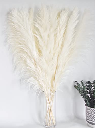 10 Stems 46" inch White Pampas Grass Decor Tall, Large Pompas Grass, Boho Neutral Home Decor Bouquet, Fluffy Pampass Grass for Floor Vase Wedding Floral Arrangements Wall Farmhouse Table Decor - size: 10PCS 46inch White