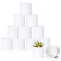 D'vine Dev 12 Pack 3.5 Inch Mini Plastic Plant Pots, Small Garden Planters for Plant with Drainage Holes and Saucers, White Color, 74-Z-D-4 - size: 3.5"