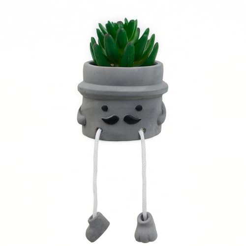 Cute Artificial Succulent Plant in Cement Pot with Hanging Legs, Mini Faux Succulent Decor for Kitchen Shelves, Bathroom Wall Shelf - Fake Small Plant for Home & Office Desktop, Shelf Accents - color: 1pcs-beard