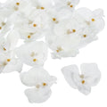 7cm/2.8" Artificial Orchid Flower Heads, 20 Pack Silk Phalaenopsis Fake Butterfly Orchid Heads for Wedding Floral Bouquet Decor DIY Craft Making, Pure White