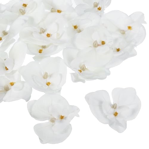 PATIKIL 7cm/2.8" Artificial Orchid Flower Heads, 20 Pack Silk Phalaenopsis Fake Butterfly Orchid Heads for Wedding Floral Bouquet Decor DIY Craft Making, Pure White - color: Pure White, size: 2.8"