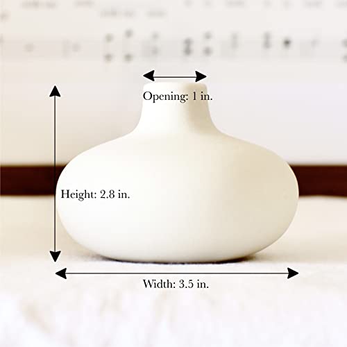 Carrot's Den - Set of 6 Nordic Minimalist White Ceramic Donut Bud Vases for Decor | Modern Boho Vases for Dry Flowers + House Plants | Wedding, Bookshelf, Home Decor, Coffee Table, Centerpiece (White)