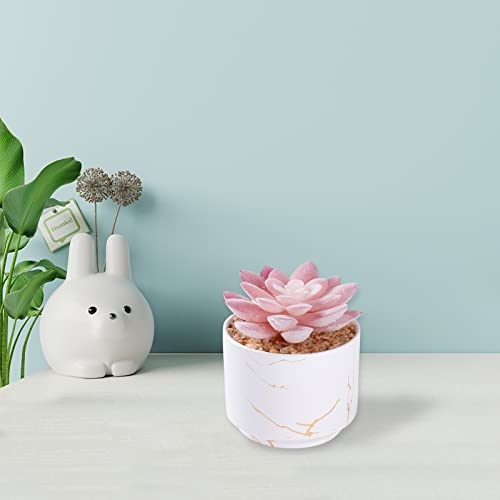 ZENIDA Succulent Artificial Plants,Cute Fake Succulents in 1 White Ceramic Pots,Small Fake Plants for Office,Table,Desk,Bathroom, Bedroom,Aesthetic Room Shelves Decor,Desk Decorations for Women Office - color: White