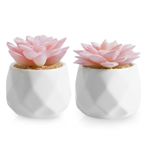 VIVERIE Mini Succulents Plants Artificial in Pots-Pink, Christmas Small Fake Succulents Plants for Home Decor Indoor for Women, White Ceramic Faux Succulents, Set of 2, Gifts for Mom - color: Pink-2 Pack