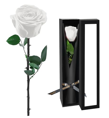 Preserved Flowers for Delivery,White Rose Bouquets That Last 5 Years,Birthday Flowers Gifts for Women Mom Grandma Wife Friends,Mothers Day Roses Gift,Romantic Floral for Anniversary or Valentine’s Day - color: White, size: Single Rose