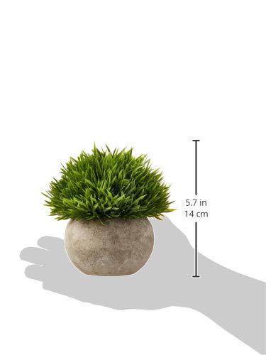 Ogrmar Mini Plastic Artificial Plants Grass in Pot/Small Artificial Faux Greenery/Mini Plants Topiary Shrubs for Bathroom, House Decorations (Green Grass) - color: Green Grass