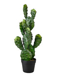 Serene Spaces Living Artificial Prickly Pear Cactus in Plastic Black Pot, Lifelike Potted Bunny Ear Cactus for Balcony, Living Room, Kitchen, Office, Patio, Entranceway, 11" Diameter & 27" Tall