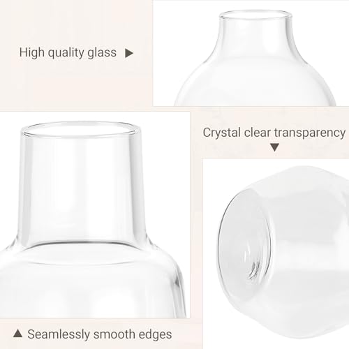 Mkono Propagation Vases for Plants, Set of 5 Small Glass Jar Planters for Hydroponic Cutting Flowers, Plant Station Bud Vases for Centerpieces Home Office Decor Gift - color: Clear