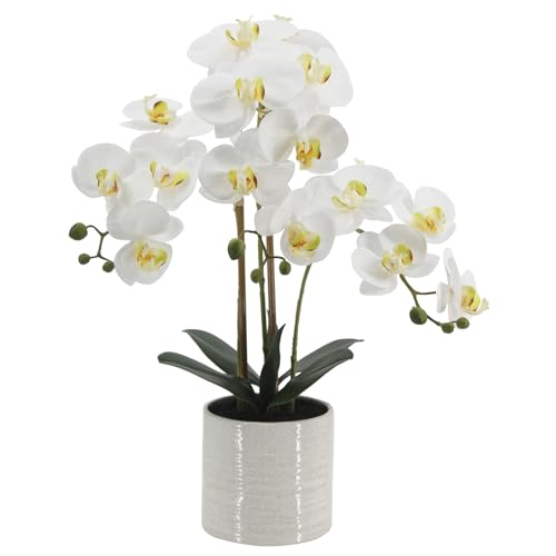 Fake Orchid Plant 23" Tall, Realistic Touch Leaves, Potted Phalaenopsis Artificial Plants Indoor for Home Decor Small Office Home Living Room-White - size: 23 Inch Phalaenopsis Orchid White