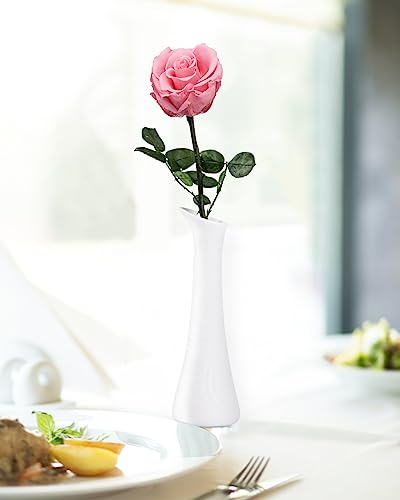Coral Pink Flowers for Delivery Prime, Preserved Pink Roses Flower Gifts for Women, Real Roses Single Rose Gifts for Her, Mom Birthday Gifts from Daughter, Valentines Flowers - color: 08-coral Pink