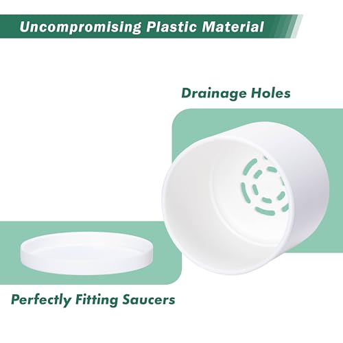 D'vine Dev 2 Pack 4 Inch Modern Plastic Plant Pots, Small Garden Planters for Plant with Drainage Holes and Saucers, White Color, 74-Z-E-1 - size: 4"