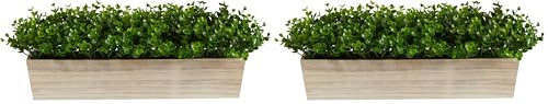 Nearly Natural 19in. Eucalyptus Artificial Plant in Decorative Planter (Pack of 2) - size: 19 in. W x 5 in. D x 8 in. H (Pack of 2)