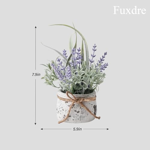 Small Fake Plants, 2 Pack Mini Artificial Plants Fake Lavender Plant in Pot, Lavender Decor and Dining Room Desk Shelf Bathroom Living Room (A-2pcs) - color: Purple