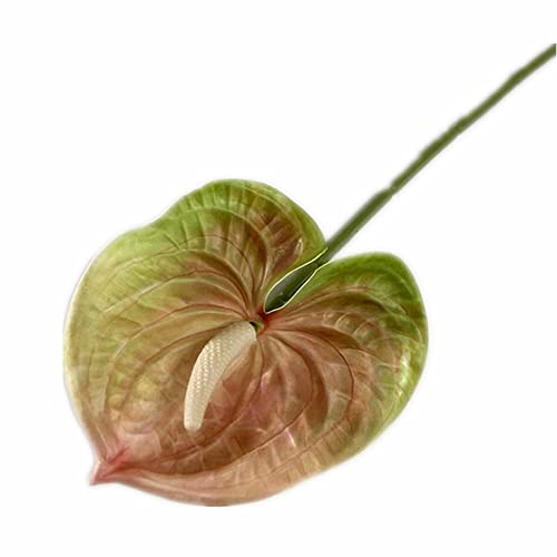 8pcs Artificial Anthurium Flower Branch 60cm 3D Printing Effect Faux Real Touch Single Stem per Piece Anthurium for Home Table Floral Decoration (chamapgne with Ligth Green) - color: Chamapgne With Ligth Green