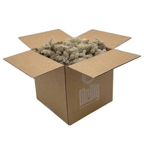 Preserved Reindeer Moss - Moss for Crafts, Home Decor, Art, Design & DIY Projects - Non-Toxic - USA Made (Natural, Standard Box) - color: Natural, size: Box