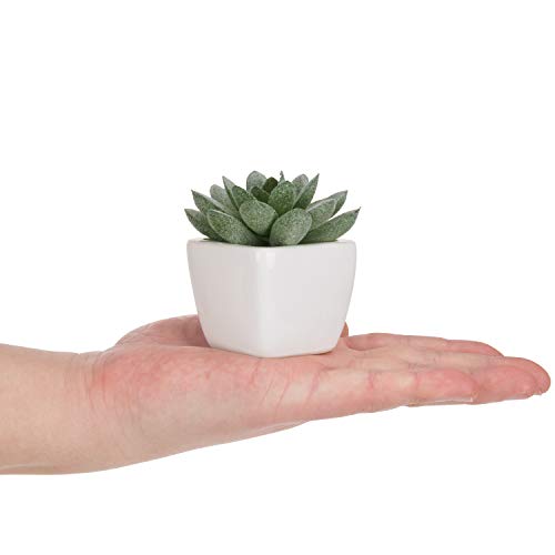 MyGift Set of 4 Mini Assorted Green Decorative Artificial Succulent Plants in Square White Glazed Ceramic Planter Pots - color: Assortment #3