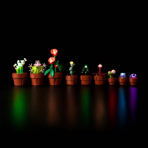 LED Light Kit for Lego 10329 Tiny Plants Creative Building Set, Decoration Lights for Carnivorous, Tropical and Arid Flora, Build and Display Cactus Décor,(Lights Only, No Lego Models) - color: Tiny Plants 10329, size: Standard Version