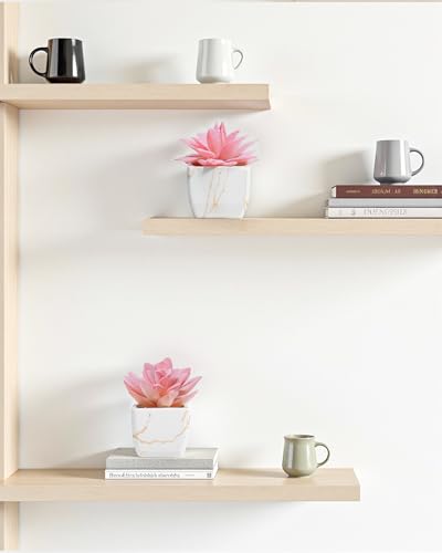 Taybonds Artificial Succulent in 2PCS White Ceramic Pot, Small Fake Succulents Plants for Office and Desk Decor,Bathroom, Bedroom, Shelves, Vanity for Women - color: White