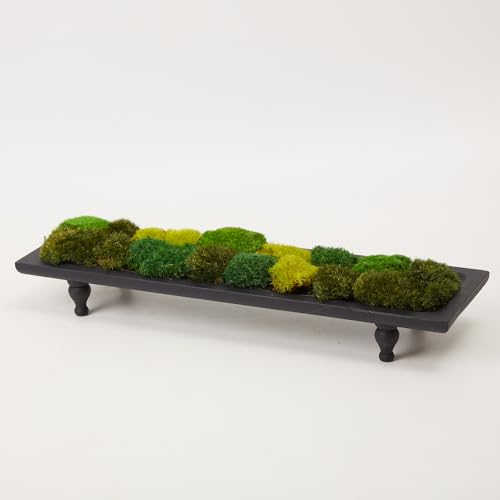 Only Moss No Bowl 4 Color Mix Pack Preserved Pole Moss Pillow Bun Cushion Natural Decorative Green DIY Kit Art Wall Florist Easter Decor (1.5 sq.ft, Green-A,B,C,D) - color: Color Mix-green-(a+b+c+d), size: 1.5 sq.ft.