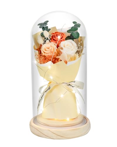 HVY Preserved Flowers Bouquet for Her,Forever Flowers Fresh Bouquet Mothers Day Birthday Gifts for Mom Preserved Rose Gifts for Women Wife Girlfriend Red Eternal Rose Present - color: Champagne Rose