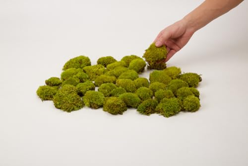 Preserved Pole Moss Pillow Bun Cushion Natural Decorative Real Natural Green DIY Kit Gardenning Art Wall Decor Florist Decor Easter Table Decor Wedding (1.5 sq.ft, Green-D) - color: Green-d, size: 1.5 sq.ft.
