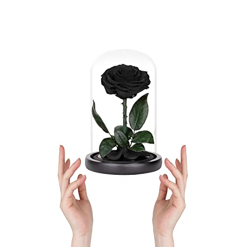 Preserved Roses Black Roses in Glass Dome, Medium, Preserved Flowers for Women - color: Black, size: Medium