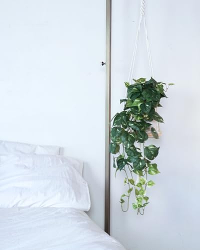 Retrograde 32" Realistic Fake Pothos Ivy Plant for Home Decor Indoor Silk Artificial Plant (Variegated - Light & Dark Green) - color: Variegated - Light & Dark Green