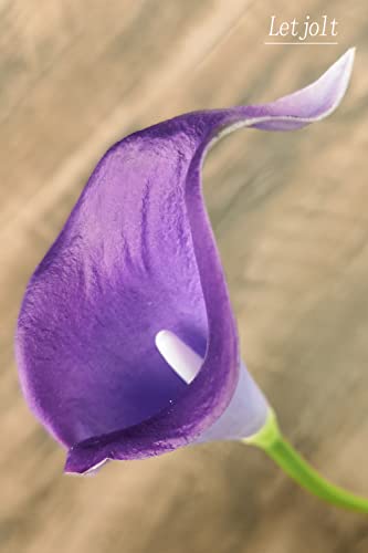 Letjolt Calla Lily Artificial Flowers 12Pcs Purple Realistic Bouquet | Faux Calla Lilies Bouquet, Wedding Bride Shower, Home Decoration, Table Flower Decor - color: Purple