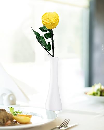 Yellow Flowers for Delivery Prime, Preserved Yellow Roses Flower Gifts for Women, Real Roses Single Rose Gifts for Her, Mom Birthday Gifts from Daughter,, Valentines Flowers - color: 16-yellow